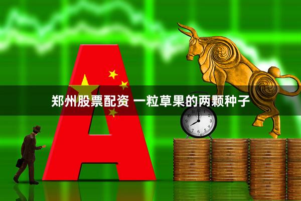郑州股票配资 一粒草果的两颗种子